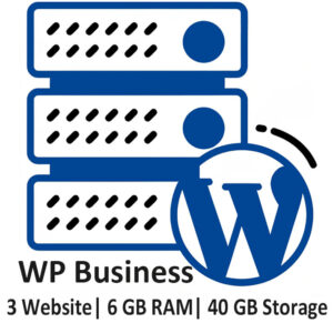 WordPress Business