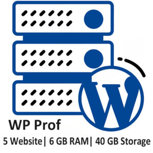 WordPress Professional