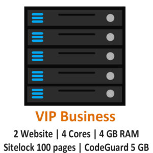 VIP Business Hosting