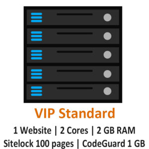 VIP Standard Hosting